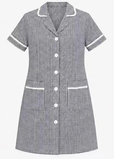 Check housekeeping dress